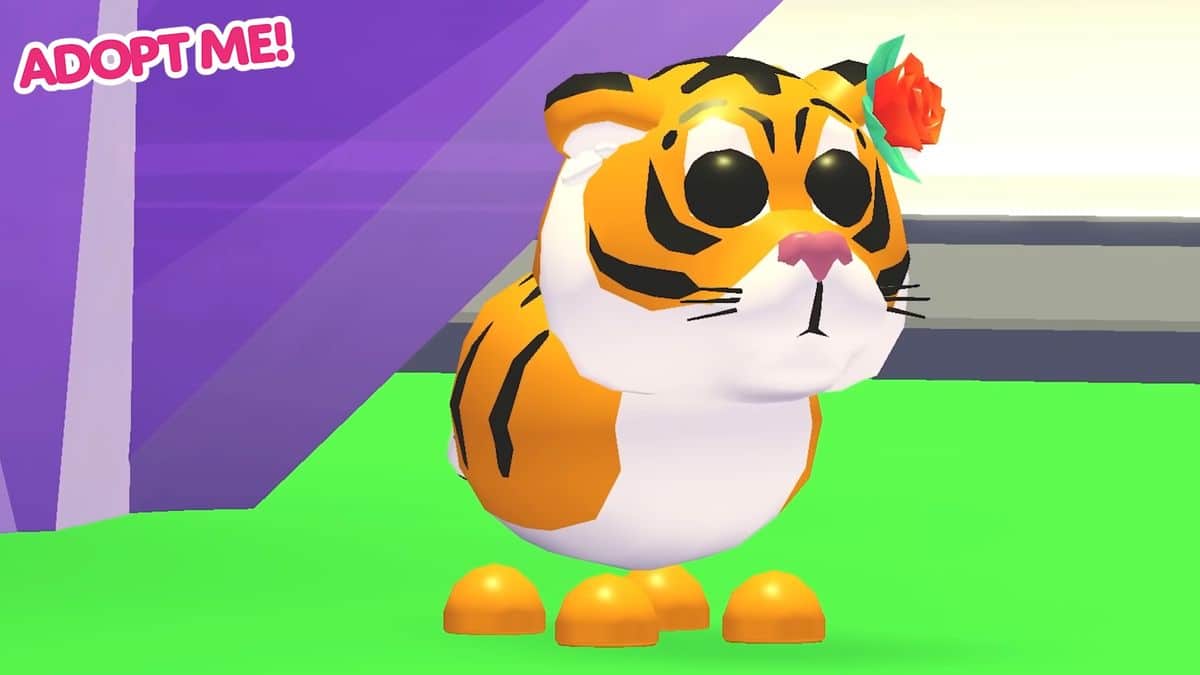 novo jogo do tigre novidades roblox｜TikTok Search