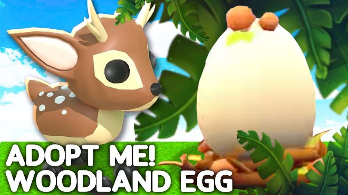 Woodland Egg, Trade Roblox Adopt Me Items